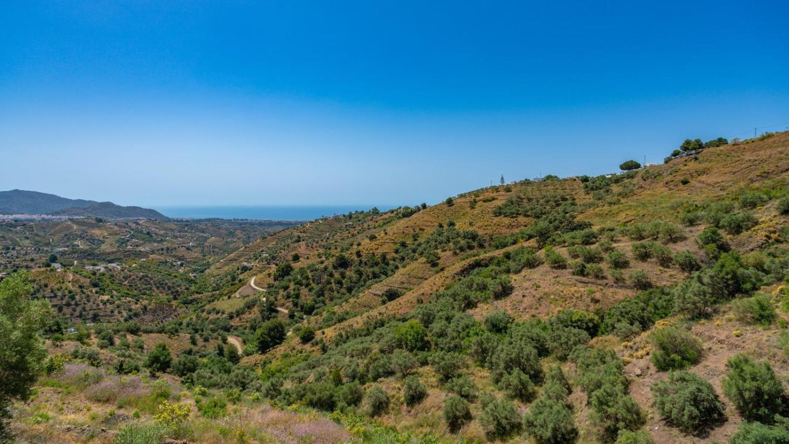 فيلا Cortijo El Mirador Frigiliana By Ruralidays المظهر الخارجي الصورة